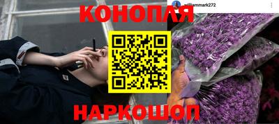 гидропоника Дубна