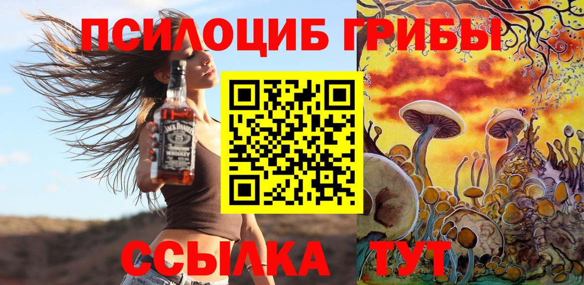 Благовещенск  Галлюциногенные грибы Magic Shrooms  купить  сайты  Вход с VPN 